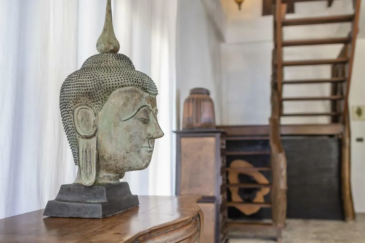 Aloe Villa Тау